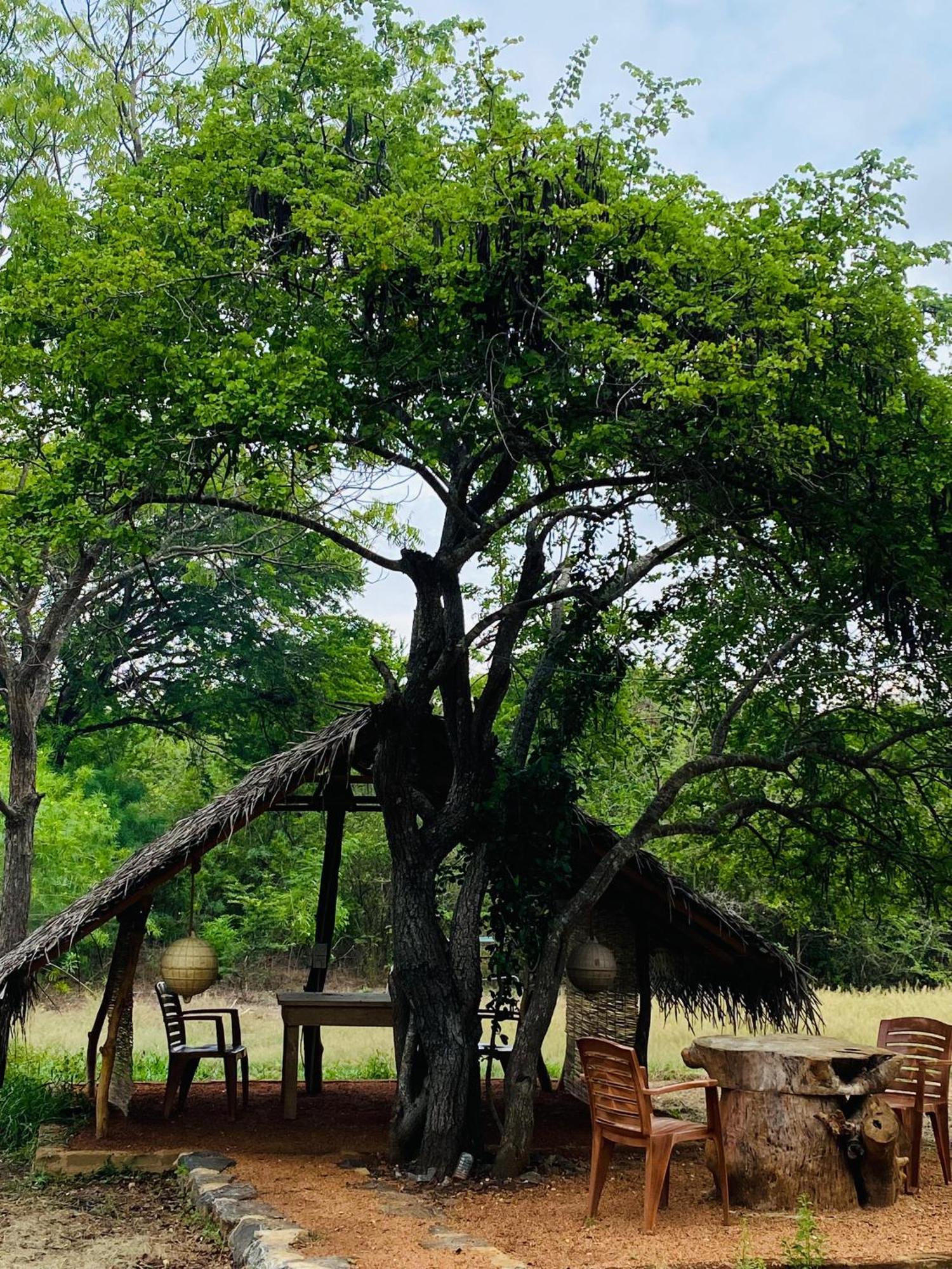 Yala Village Eco Tree House تيساماهاراما المظهر الخارجي الصورة