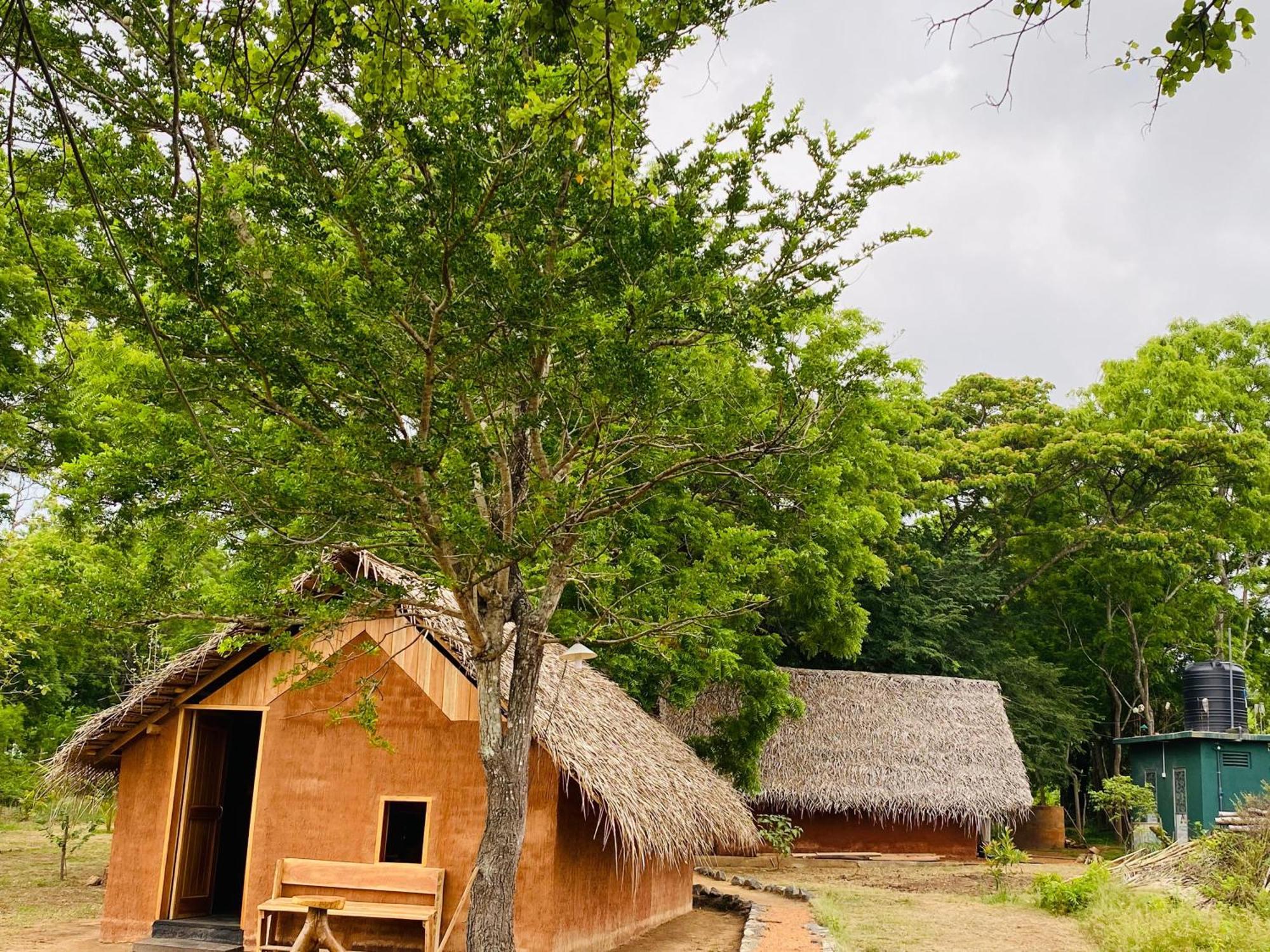 Yala Village Eco Tree House تيساماهاراما المظهر الخارجي الصورة